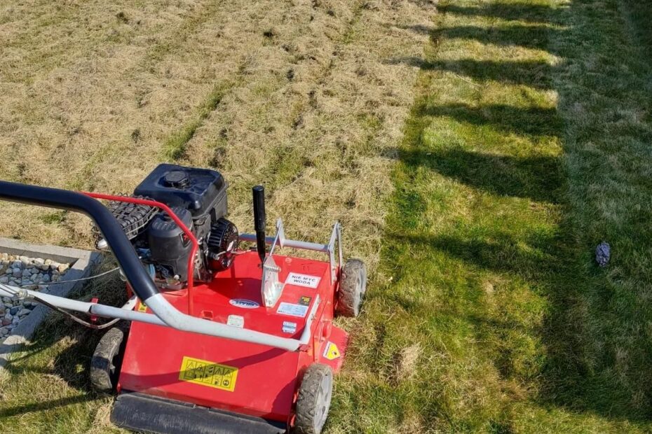 wertykulacja-trawnika-głubczyce